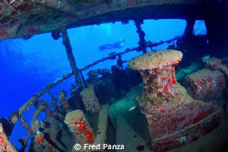Inside the wreck at Abu Ghusun, south of Marsa Alam. Than... by Fred Panza 